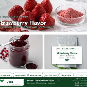 Strawberry Flavor Powder natural botanical extract powder - ZHII ShaanXi ZhiYi Biotechnology supplier