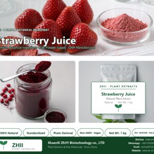 Strawberry Juice Powder natural botanical extract powder - ZHII ShaanXi ZhiYi Biotechnology supplier