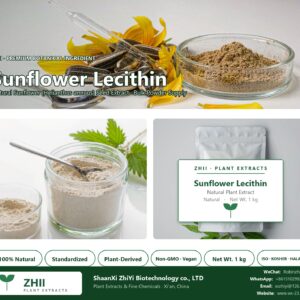 Sunflower Lecithin natural Sunflower extract powder - ZHII ShaanXi ZhiYi Biotechnology supplier