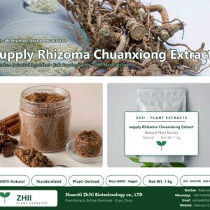 supply Rhizoma Chuanxiong Extract natural botanical extract powder - ZHII ShaanXi ZhiYi Biotechnology supplier