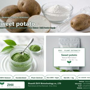 Sweet potato powder natural Potato extract powder - ZHII ShaanXi ZhiYi Biotechnology supplier
