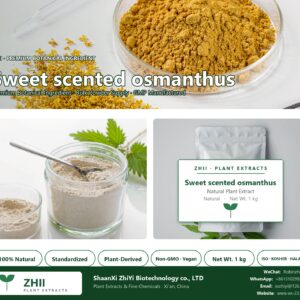 Sweet scented osmanthus powder natural botanical extract powder - ZHII ShaanXi ZhiYi Biotechnology supplier