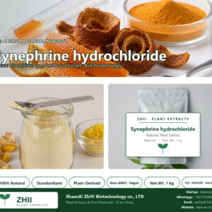 Synephrine hydrochloride natural Citrus extract powder - ZHII ShaanXi ZhiYi Biotechnology supplier