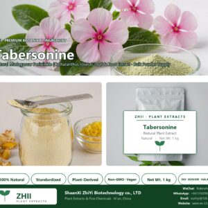 Tabersonine natural Madagascar Periwinkle extract powder - ZHII ShaanXi ZhiYi Biotechnology supplier