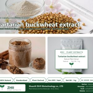 Tartarian buckwheat extract natural Buckwheat extract powder - ZHII ShaanXi ZhiYi Biotechnology supplier