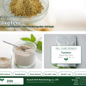 Taxotere natural botanical extract powder - ZHII ShaanXi ZhiYi Biotechnology supplier