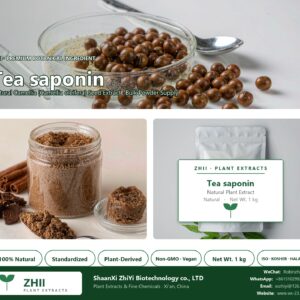 Tea saponin natural Camellia extract powder - ZHII ShaanXi ZhiYi Biotechnology supplier