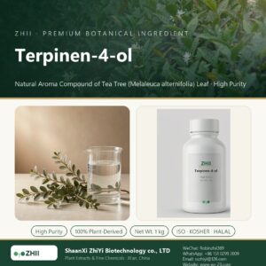Terpinen-4-ol liquid extract in laboratory beaker - ZHII Plant Extracts by ShaanXi ZhiYi Biotechnology