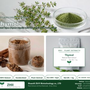 Thymol natural Thyme extract powder - ZHII ShaanXi ZhiYi Biotechnology supplier