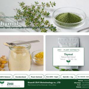 Thymol natural Thyme extract powder - ZHII ShaanXi ZhiYi Biotechnology supplier