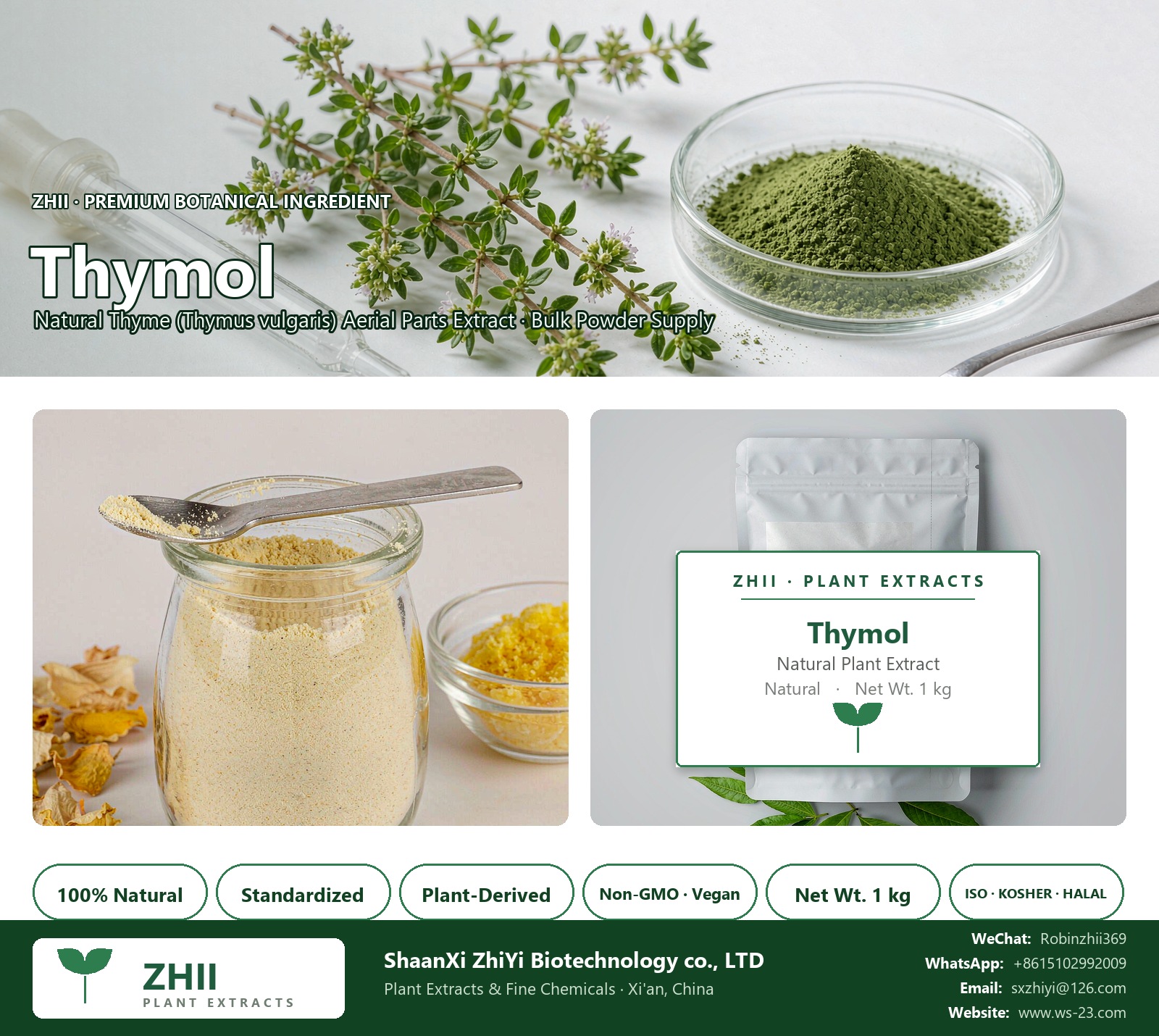Thymol natural Thyme extract powder - ZHII ShaanXi ZhiYi Biotechnology supplier