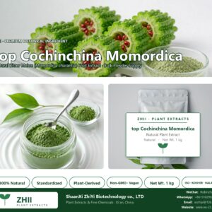 top Cochinchina Momordica. natural Bitter Melon extract powder - ZHII ShaanXi ZhiYi Biotechnology supplier