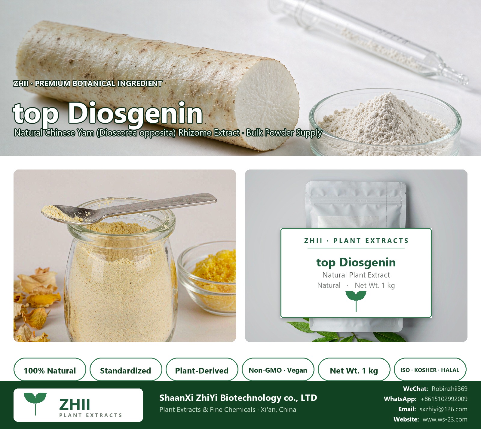 top Diosgenin natural Chinese Yam extract powder - ZHII ShaanXi ZhiYi Biotechnology supplier