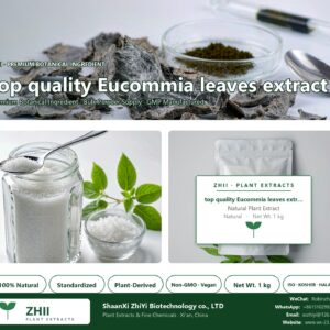 top quality Eucommia leaves extract natural botanical extract powder - ZHII ShaanXi ZhiYi Biotechnology supplier