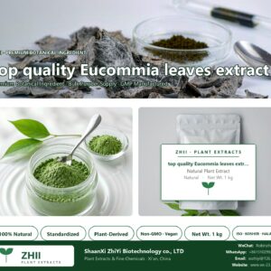 top quality Eucommia leaves extract natural botanical extract powder - ZHII ShaanXi ZhiYi Biotechnology supplier