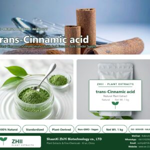 trans-Cinnamic acid natural Cinnamon extract powder - ZHII ShaanXi ZhiYi Biotechnology supplier