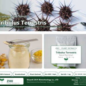 Tribulus Terrestris natural Tribulus extract powder - ZHII ShaanXi ZhiYi Biotechnology supplier