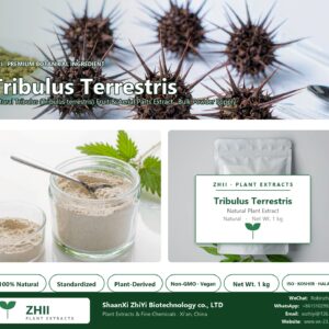 Tribulus Terrestris natural Tribulus extract powder - ZHII ShaanXi ZhiYi Biotechnology supplier