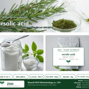 ursolic acid CAS 77-52-1 natural plant extract from Rosemary - ZHII ShaanXi ZhiYi Biotechnology supplier