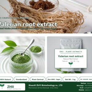 Valerian root extract natural Valerian extract powder - ZHII ShaanXi ZhiYi Biotechnology supplier
