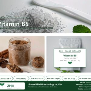 Vitamin B5 CAS 137-08-6 natural plant extract from Natural Origin - ZHII ShaanXi ZhiYi Biotechnology supplier
