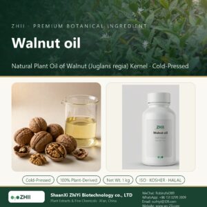Walnut oil liquid extract in laboratory beaker - ZHII Plant Extracts by ShaanXi ZhiYi Biotechnology