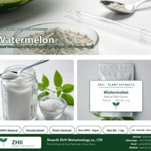 Watermelon powder natural Watermelon extract powder - ZHII ShaanXi ZhiYi Biotechnology supplier