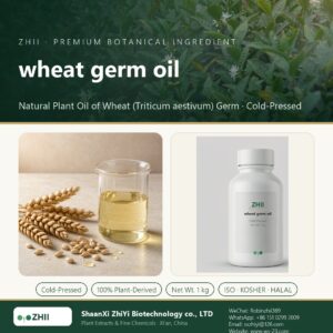 wheat germ oil liquid extract in laboratory beaker - ZHII Plant Extracts by ShaanXi ZhiYi Biotechnology