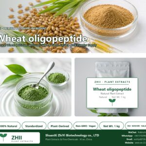 Wheat oligopeptide natural Wheat extract powder - ZHII ShaanXi ZhiYi Biotechnology supplier