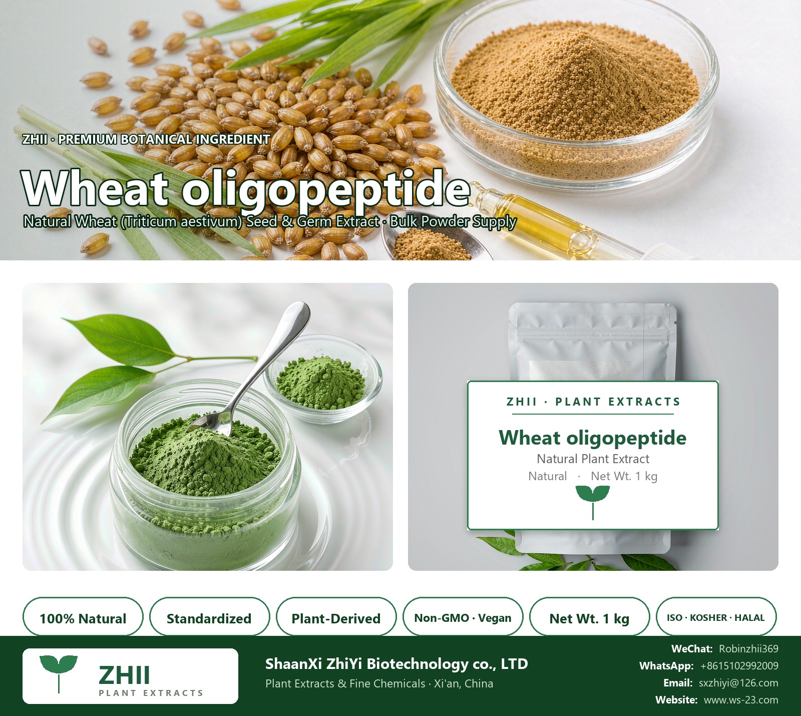Wheat oligopeptide natural Wheat extract powder - ZHII ShaanXi ZhiYi Biotechnology supplier