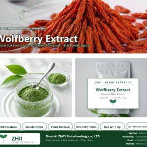 Wolfberry Extract natural Goji Berry extract powder - ZHII ShaanXi ZhiYi Biotechnology supplier