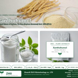 Xanthohumol CAS 6754-58-1 natural plant extract from Sophora / Ku Shen - ZHII ShaanXi ZhiYi Biotechnology supplier