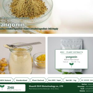yangonin natural botanical extract powder - ZHII ShaanXi ZhiYi Biotechnology supplier