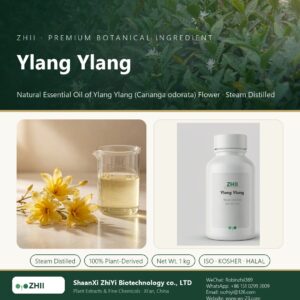 Ylang Ylang liquid extract in laboratory beaker - ZHII Plant Extracts by ShaanXi ZhiYi Biotechnology