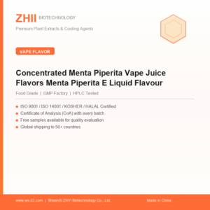 Concentrated Menta Piperita Vape Juice Flavors Menta Piperita E Liquid Flavour - ZHII manufacturer plant extract powder