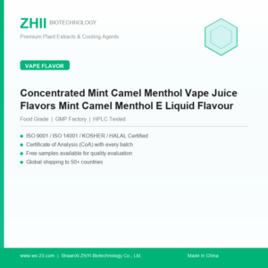 Concentrated Mint Camel Menthol Vape Juice Flavors Mint Camel Menthol E Liquid Flavour - ZHII manufacturer plant extract powder
