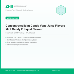 Concentrated Mint Candy Vape Juice Flavors Mint Candy E Liquid Flavour - ZHII manufacturer plant extract powder