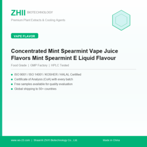Concentrated Mint Spearmint Vape Juice Flavors Mint Spearmint E Liquid Flavour - ZHII manufacturer plant extract powder