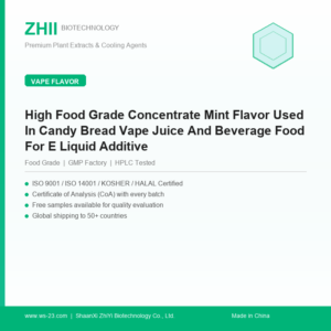 High Food Grade Concentrate Mint Flavor Used In Candy Bread Vape Juice And Beverage Food For E Liquid Additive - ZHII manufacturer plant extract powder