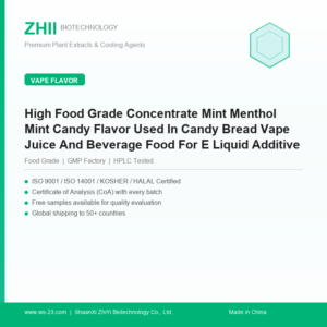 High Food Grade Concentrate Mint Menthol Mint Candy Flavor Used In Candy Bread Vape Juice And Beverage Food For E Liquid Additive - ZHII manufacturer plant extract powder