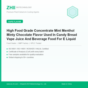 High Food Grade Concentrate Mint Menthol Minty Chocolate Flavor Used In Candy Bread Vape Juice And Beverage Food For E Liquid Additive - ZHII manufacturer plant extract powder