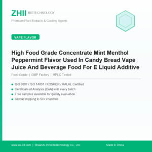 High Food Grade Concentrate Mint Menthol Peppermint Flavor Used In Candy Bread Vape Juice And Beverage Food For E Liquid Additive - ZHII manufacturer plant extract powder