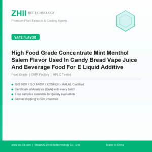 High Food Grade Concentrate Mint Menthol Salem Flavor Used In Candy Bread Vape Juice And Beverage Food For E Liquid Additive - ZHII manufacturer plant extract powder