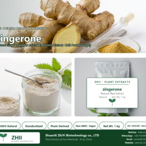 zingerone natural Ginger extract powder - ZHII ShaanXi ZhiYi Biotechnology supplier