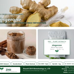 zingerone natural Ginger extract powder - ZHII ShaanXi ZhiYi Biotechnology supplier