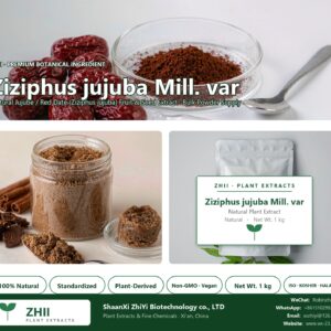 Ziziphus jujuba Mill. var natural Jujube / Red Date extract powder - ZHII ShaanXi ZhiYi Biotechnology supplier