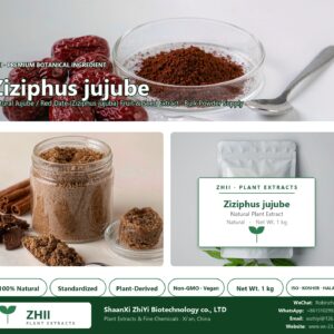 Ziziphus jujube natural Jujube / Red Date extract powder - ZHII ShaanXi ZhiYi Biotechnology supplier